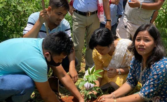 Chief Minister's Institutional Plantation Programme